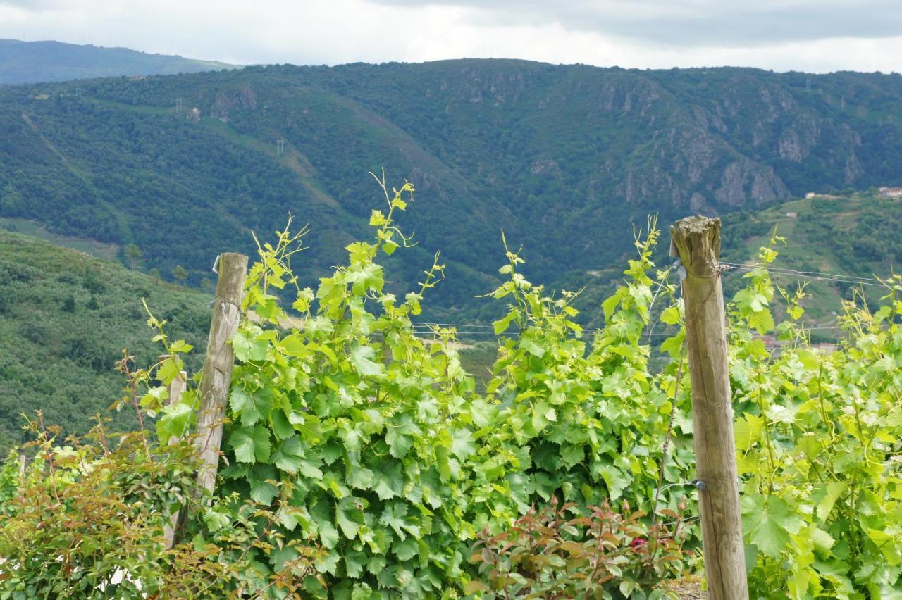 A Forxa Casa Ferrador Ribeira Sacra Apartment Sober Екстериор снимка